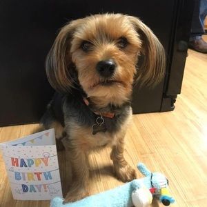 Meet your Posher, Robin